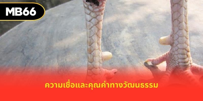 ความเชื่อและคุณค่าทางวัฒนธรรม