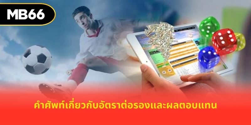 คำศัพท์เกี่ยวกับอัตราต่อรองและผลตอบแทน