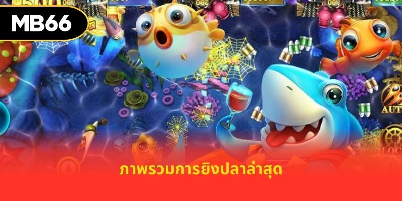 ภาพรวมการยิงปลาล่าสุด