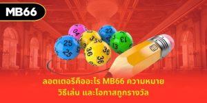 ลอตเตอรีคืออะไร